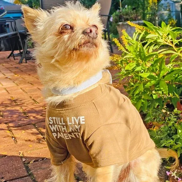 Cute Dog Clothes,Dog T Shirt for Medium Dogs.Dog Clothes for Small Dogs Girl Boy - Picture 6 of 6